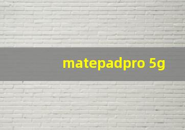 matepadpro 5g